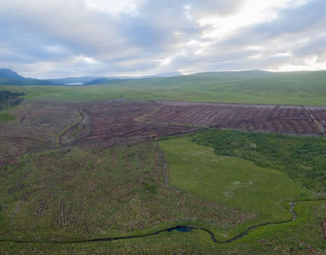 an aerial view of a cleared forest