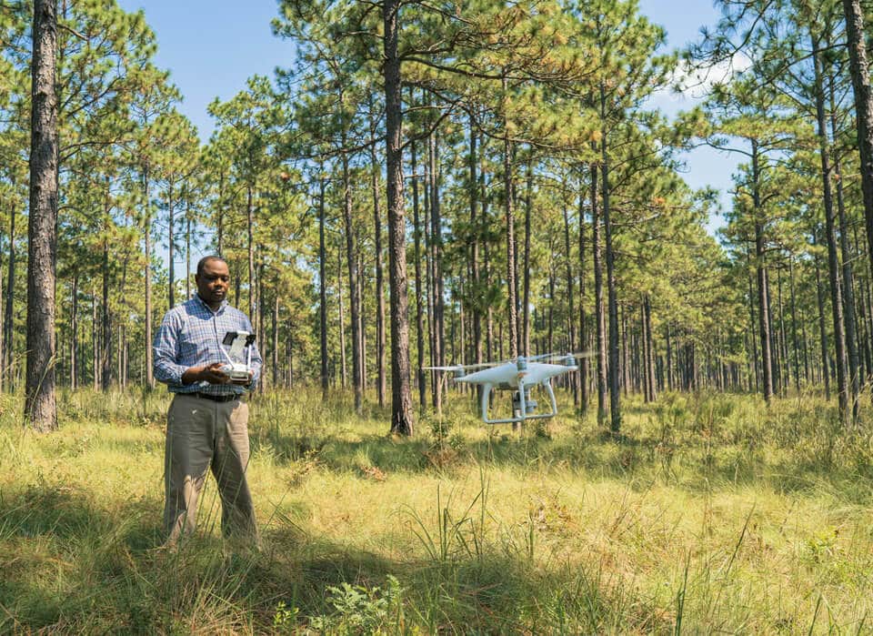 a forester begins piloting a drone in the forest