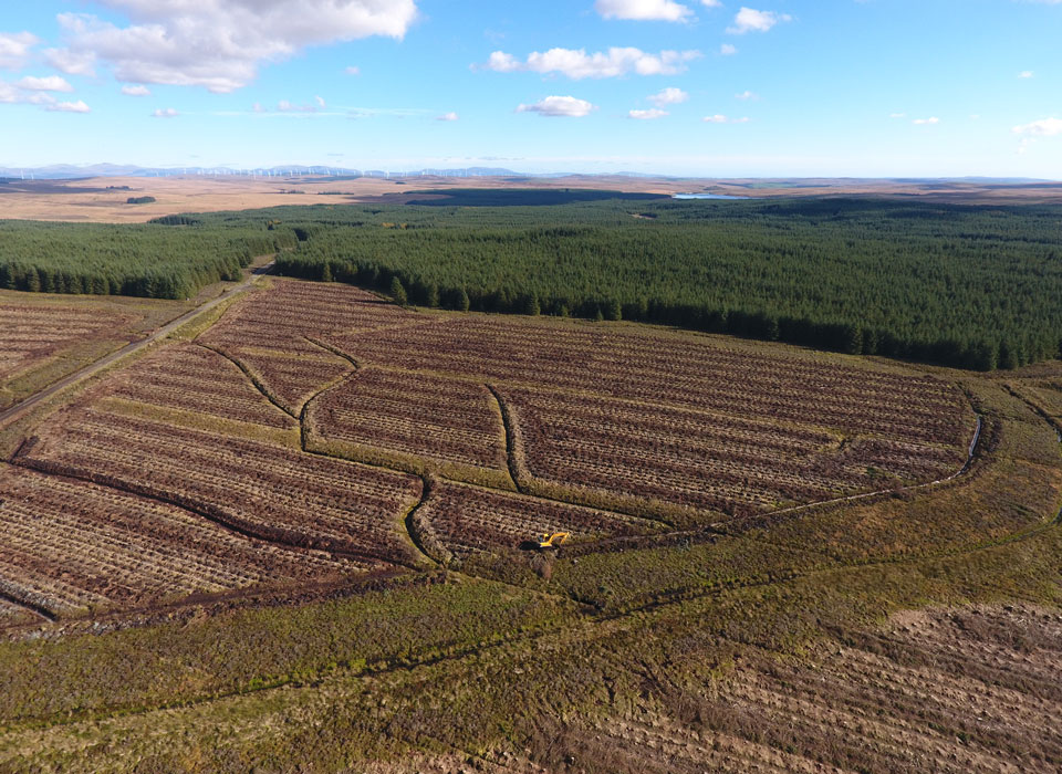 an aerial view of land after its trees have been collected for timber