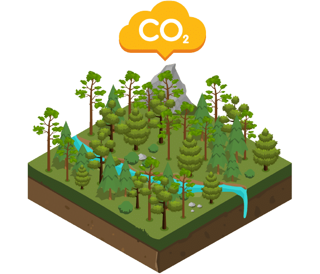 Natural Capital icon depicting the C02 level of a forest property