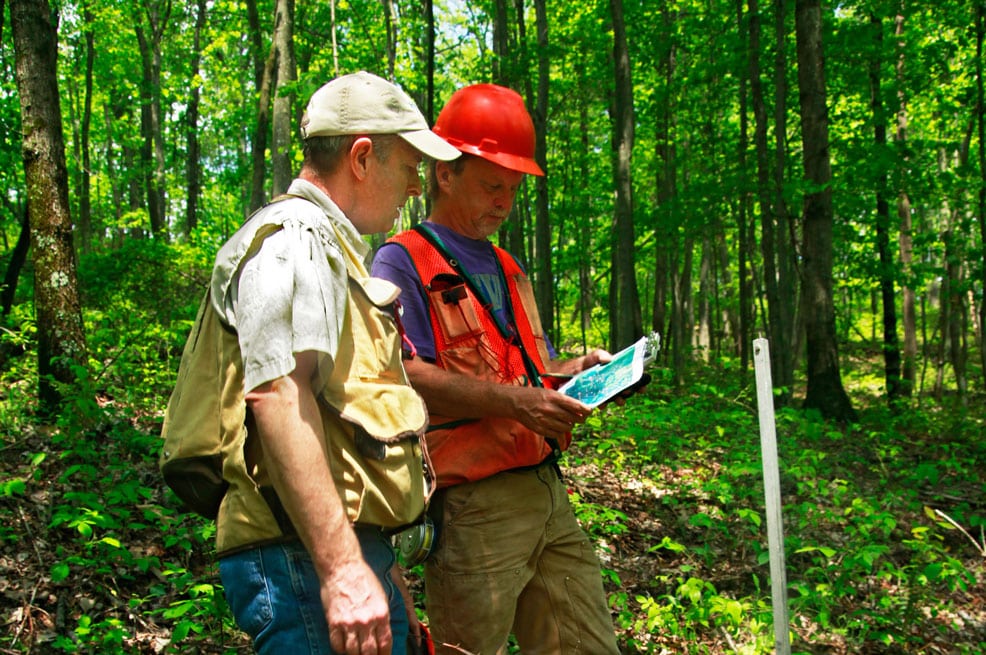two foresters collaborating and looking at a map on the job